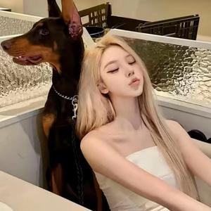 年轻就是资本头像