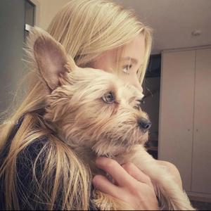 辣辣辣条！头像