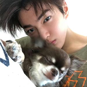 实实在在过日子头像