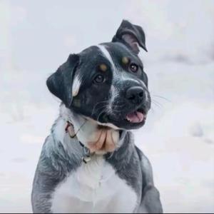 帅到被人打头像