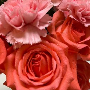 小米养生2025头像