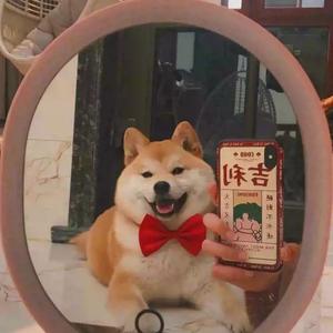 小小薇玩游戏头像