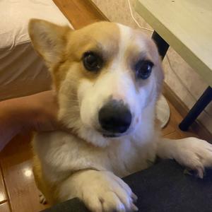 我妈超爱我这张脸头像