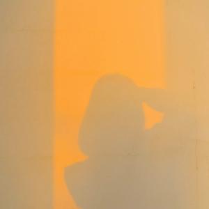 🌈西西爱种植头像