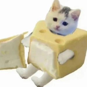 你不吃饭？头像