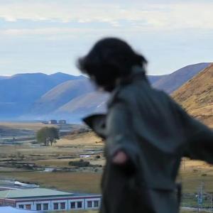 莓有烦恼🍓头像