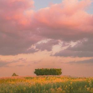 小咪不是猫🐱头像