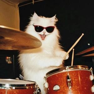 骑老奶奶闯红灯的叙利亚在逃老斑鸠头像