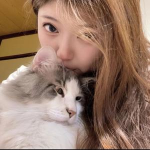 东北女生在东京头像