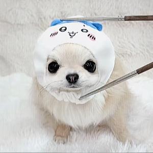 你會不會怪我头像