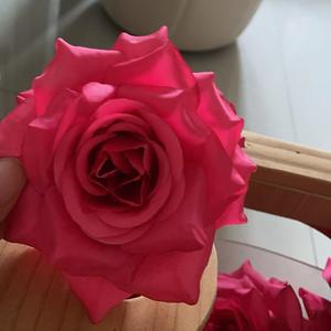 三河四季阳光手作头像