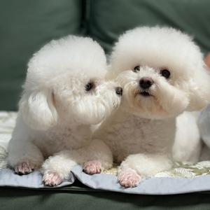 油辣的 防尘裤定制头像