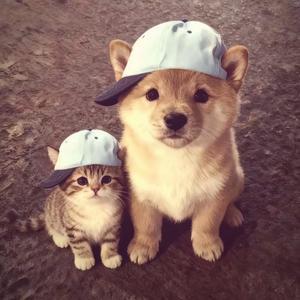 用户1404660222头像