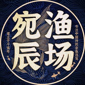 宛辰传统金鱼头像