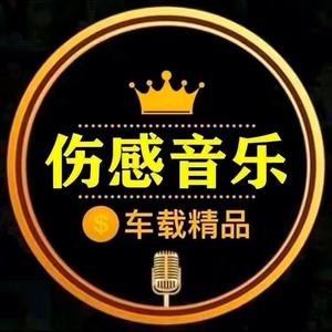 伤感音乐🎷头像