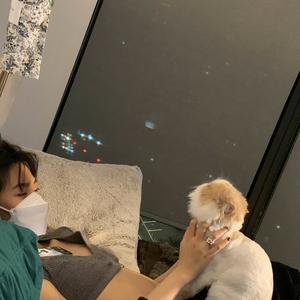 好一点吧头像