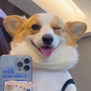 吃虾不蘸酱头像