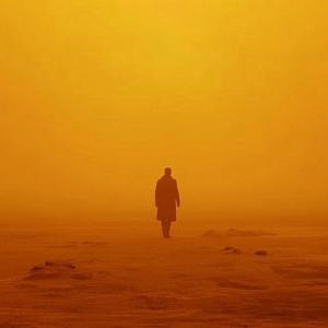 我与大师的差距头像