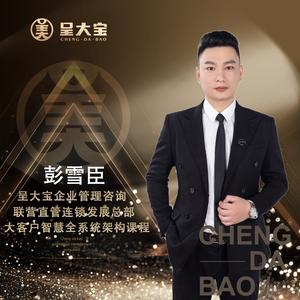 呈大宝咨询-彭雪臣6291头像