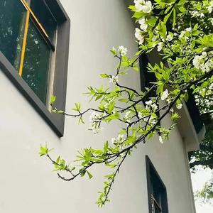 浅唱你给的幸福头像