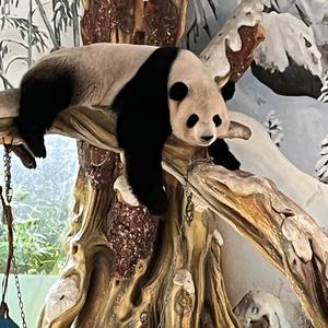 💰财神爷的心肝小宝贝头像