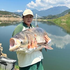 橙子是个钓鱼佬 头像