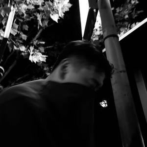 時止言（龙之梦蓝狐狸）头像