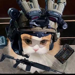 白小白（三角洲测评)头像