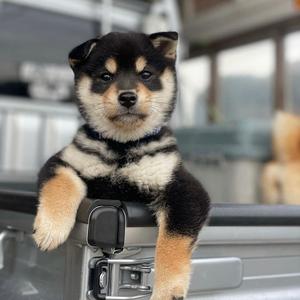 Drunk◡̈⃝ྃ头像