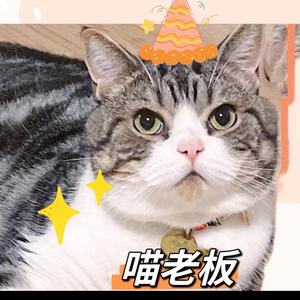 周北北头像