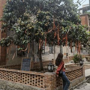 果冻去旅行头像