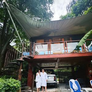 玩具是虎子头像