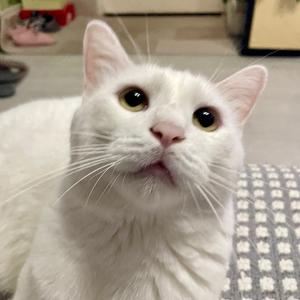 🦐练（已减20斤减脂版）头像