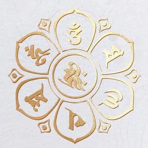 橙子看世界头像