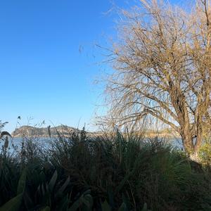 平凡人平凡事头像