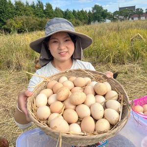 崇明岛土鸡蛋直发头像