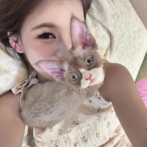 陈美嘉🏥日常🐱头像
