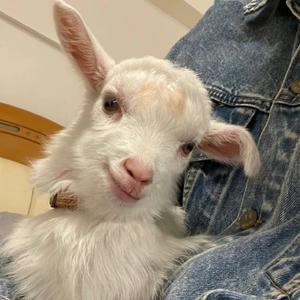 杨乐多☀️·头像