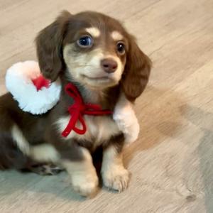 可可走西里☁️头像