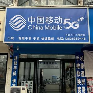 手机小度手表维修支持寄修头像