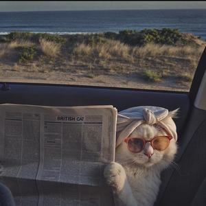 吃吹人间发财风🌬️头像