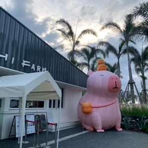 全职🍒沄爸🍡头像