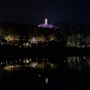 卖珍珠的威哥头像