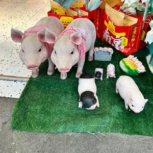 一个似曾相识的陌生人头像