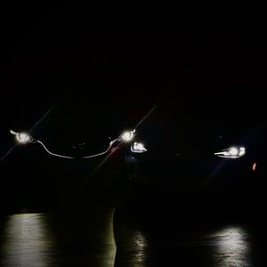 Kuzer💋🐱🔒头像