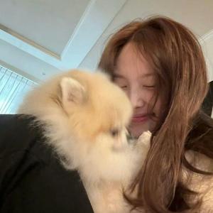 普忒头大王头像