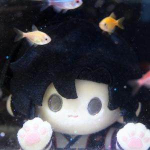 女神爱吃的米饭🍚头像