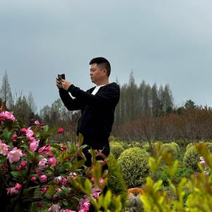 成都梵枫园林@余垒头像