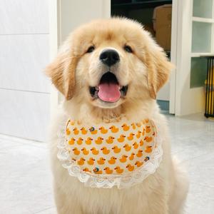 钱不多的钱多多头像