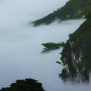 know and do it头像